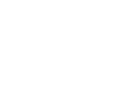 excellence White outline of an award ribbon with a star in the center on a green background.